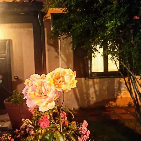 La Quercia Di Massena 住宿加早餐酒店 下卡斯泰卢乔