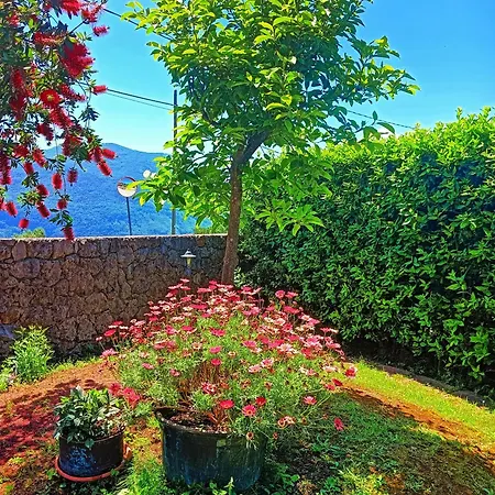 La Quercia Di Massena Bed & Breakfast Lauria Inferiore