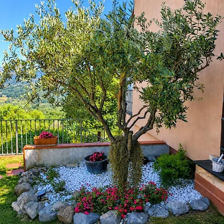 La Quercia Di Massena Lauria Inferiore