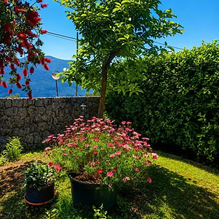 Bed & Breakfast La Quercia Di Massena